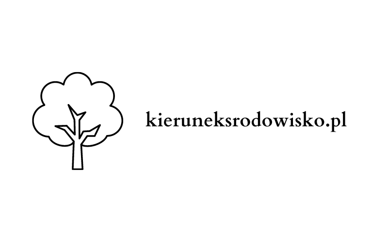 logo-kieruneksrodowisko.pl